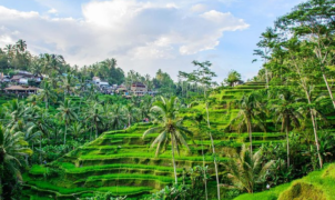 Destinasi Terbaik di Ubud