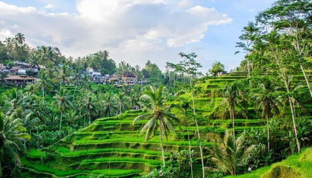 Destinasi Terbaik di Ubud