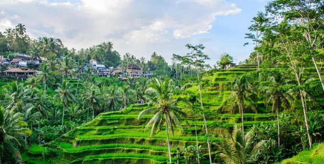 Destinasi Terbaik di Ubud